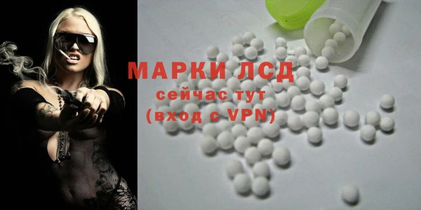 apvp Пересвет