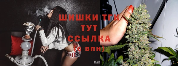 прущие крисы Абинск